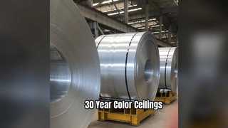 Прочный алюминиевый потолок покрывает цвет 30 лет