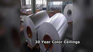 Прочный алюминиевый потолок покрывает цвет 30 лет
